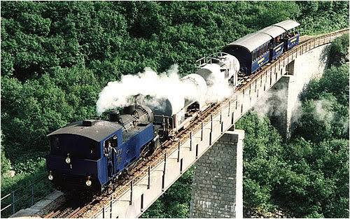 duong-sat-rang-cua-dalat-19