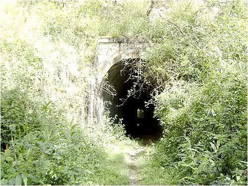 duong-sat-rang-cua-dalat-28