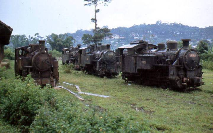 duong-sat-rang-cua-dalat-33